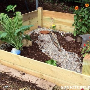 DIY Outdoor Box Turtle Enclosure _ how to make a tortoise habitat | SonicTurtle | Facebook