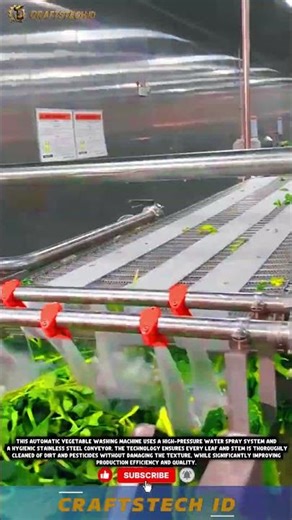 Innovative Automatic Vegetable Washing Machine for Maximum Cleanliness 🥬✨#tech #innovation #machine