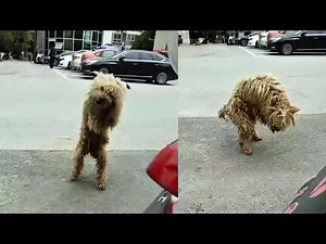 He was bruised and exhausted, trying to stand up and ask for help from every passerby