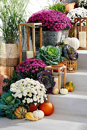 17 Ideas for Decorating with Mums for the Best Fall Display on the Block