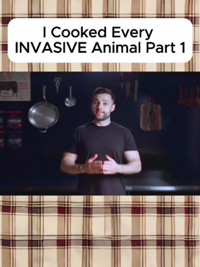 Cooking Invasive Animals: Nilgai Antelope & Bullfrog Taste Test