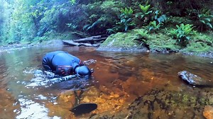 557K views · 10K reactions | An exciting return to the river where last time Levi discovered a monster 14gram nugget. This time we have 3 days of supplies and we set to work on the river seeing what other discoveries we can find. | Rob Parsons | Facebook