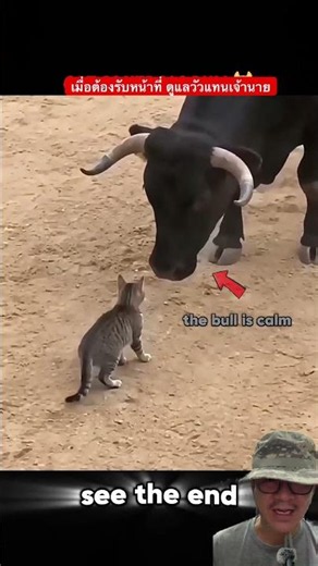 When you have to take over your boss's job herding cows