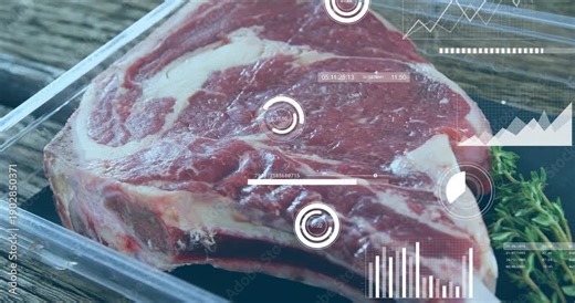 Camera panning initiating HUD graphics scanning raw bone-in rib steak on wood tabletop for analysis