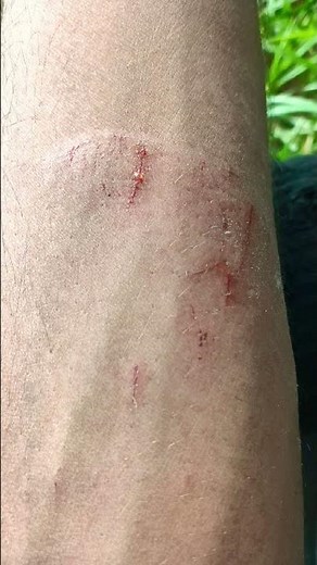 optical training 2025 ka optical training RTC training TSC training 2025 ka #opticalexpress #