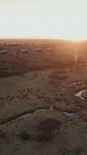 Two unique safari camps. One unforgettable country 🇰🇪✨ From the golden plains of the Maasai Mara at Mahali Mzuri to the untamed beauty of Tsavo at Finch Hattons, discover Kenya’s wild heart the Virgin Limited Edition way with... 🦁 Twice-daily game drives led by expert guides 🌌 Bush dinners under starry skies 🛁 Luxury suites with views that take your breath away It’s more than a safari. It’s where time slows, stories unfold, and the wild becomes your home. #FinchHattons #MahaliMzuri #VirginL