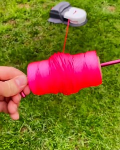 25M views · 19K reactions | The dogs look like they're having the most fun  | Tyla | Facebook