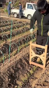 Rural Fun Craft Tools: Practical Farm DIY Process