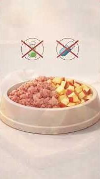 This Meal Helped My Dog’s Digestion