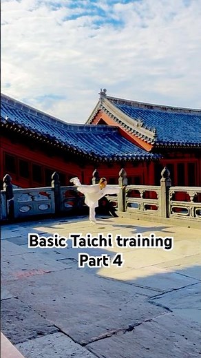 Basic Taichi training 4
