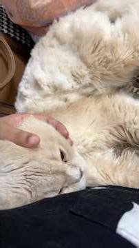 Day 18 of #30days Ramadan edition #minivlog #ramadan #whatieatinaday #youtubeindia #shorts #cooking