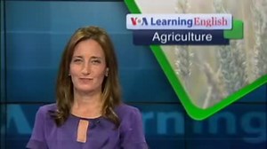 Africa Invests in Rice