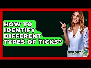 How To Identify Different Types Of Ticks? - Biology For Everyone