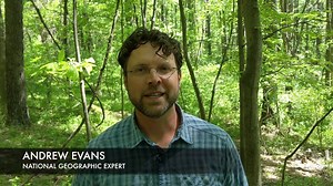 3.7K views · 96 reactions | “To be a good traveler, you have to be a good homebody,” says Nat Geo expert Andrew Evans. When the global pandemic hit, he was in the Antarctic—and it took him a whole week to get home from the bottom of the planet. Enjoy this window into his life in Virginia’s Blue Ridge Mountains as his itinerant lifestyle remains on hold. | National Geographic Expeditions | Facebook