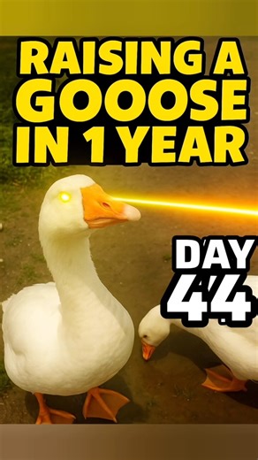 Day 44With My Goose – See the Change! week 20
