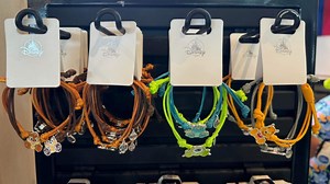 New Disney Friendship Bracelet Buddies Spotted at Epcot! | Chip and Company