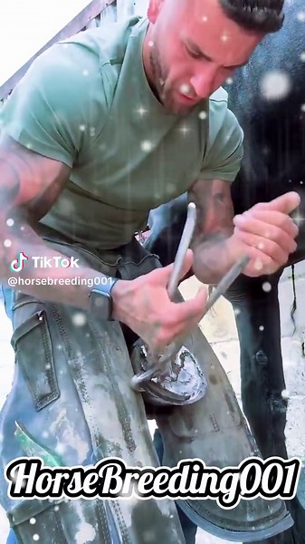 Effective Horse Care and Cleaning Techniques