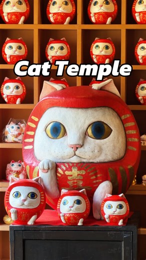 Hiroko Furukawa on Instagram: "📍KYOTO / NyanNyanji（Cat Temple） NyanNyan-ji is the world's first temple-style art museum, located in the nature-rich Yase area of Kyoto, with cats as its principal image. The sliding doors and ceilings of this charming 100-year-old traditional house are packed with cat-themed artworks, allowing visitors to enjoy art filled with cats. The gallery space inside the building displays the works of Miyano Kaya, who has been active as a cat artist since she was 11 years 