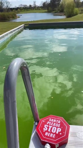 Above Ground Pool Cleaning Tips for a Satisfying Swim