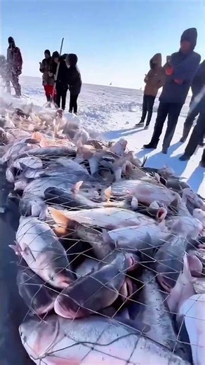 CHAGAN LAKE ICE FISHING Is INSANE… Fish EVERYWHERE Under The Ice! ❄️🐟
