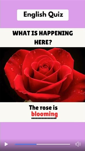 Daily use English Vocabulary Practice 📚 | PY Knowledge