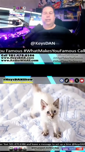 Why do cats make biscuits? They're kneading to feel safe, show affection, or mark their territory! #CatFacts #CatsOfTikTok #Kneading #CatBehavior