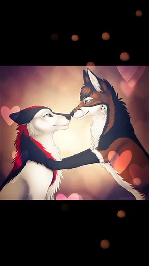 ПАВЕЛ Рудых on TikTok