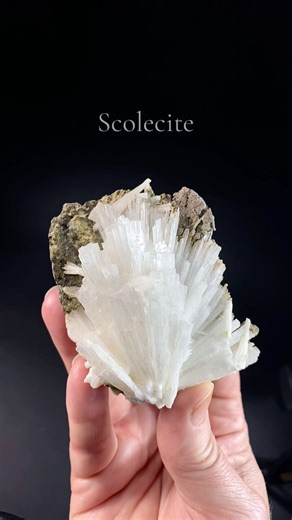 Radiating Scolecite Crystals on Basalt #crystals #minerals