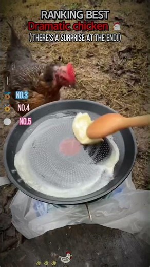 RANKING BEST Dramatic chicken 🐔