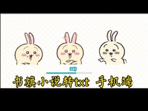 全网小说转TXT下载教程素材 手机 平板 电脑均可操作 支持导入 手环 MP3 等等，亲测操作简单方便效果好！