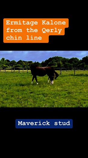 Sarah Randall on Reels