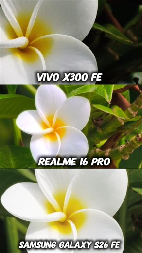 Vivo X300 Fe vs Realme 16 Pro vs Samsung Galaxy S26 Fe Photography Test Camera zoom Testing Compare