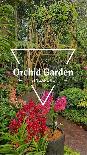 Singapore's Secret Garden Hidden in Plain Sight - National Orchid Garden