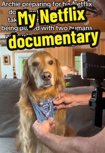 Archie the Golden Retriever: Preparing for His Netflix Documentary
