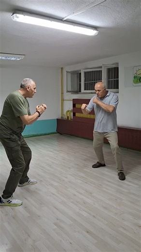 12M views · 33K reactions | Combat Wing Chun - Master Lazo Naumov...