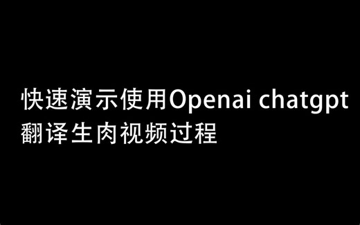 AI翻译流程演示
