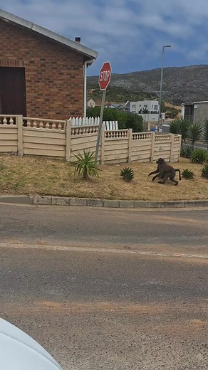 Mike (@michaelkeet5)’s videos with original sound - Mike