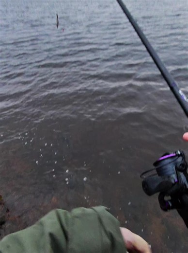 Fishing Adventures on the Banks of Scotland