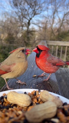 Romantic Love Story with Kathe Green & Katie Greene