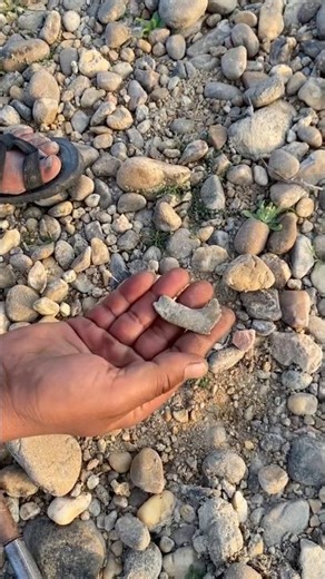 Metal Detector Finds Old Silver #MetalDetector #SilverFind #OldSilver #TreasureHunting #subscribe