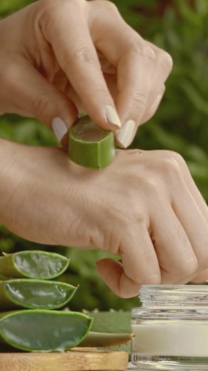 Discovering the magic of aloe vera ✨ This humble plant isn’t just for decoration – it’s nature’s own remedy! From soothing sunburns to nourishing skin, aloe vera is a must-have in every home. #naturalhealing #aloeveramagic #homeremedy #homeremedies #sunburncare #skinhealth #healthyliving #aloevera #aloe #naturalremedies | Our Blue Ridge House | Facebook