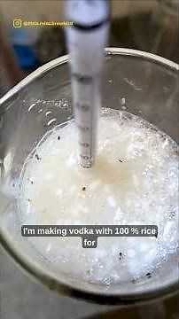 Trying to make 100% Rice Vodka (Day 34/365 Fermentation Challenge)