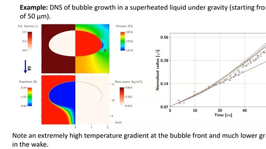 39. Simulation of flows with phase change