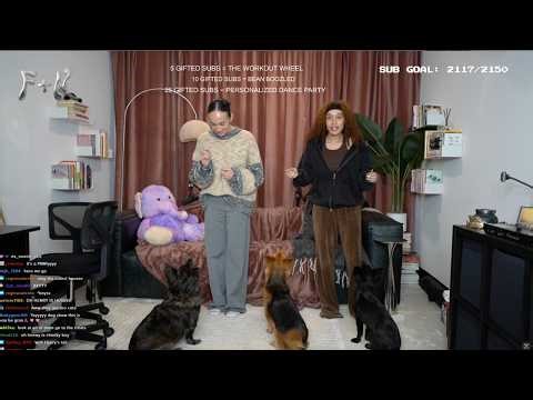 MEET OUR DOGS! WE TRIED TO TEACH THEM NEW TRICKS!