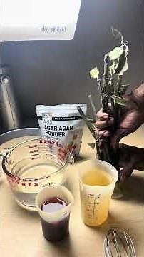 Testing a DIY Rooting Gel: Agar ,Willow Water & Seaweed Experiment (Part 1) It’s also for other uses