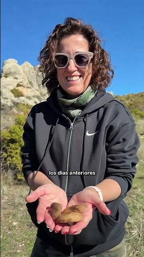 To the delicious cardoon mushrooms found in the countryside. 💕