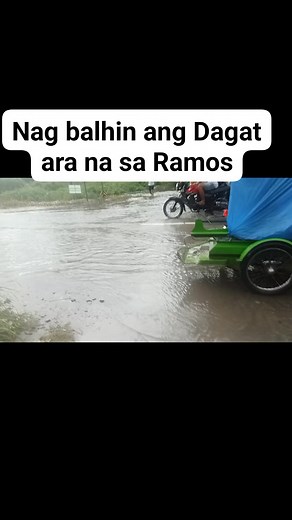 68K views · 665 reactions | Zenith Galins on Reels | Facebook