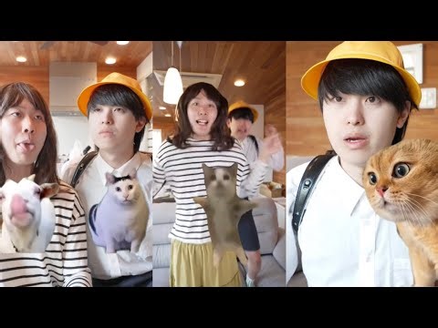 猫ミームやねすけ！？【バンカラジオ】