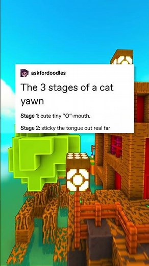 progression of a cat yawn 🥱