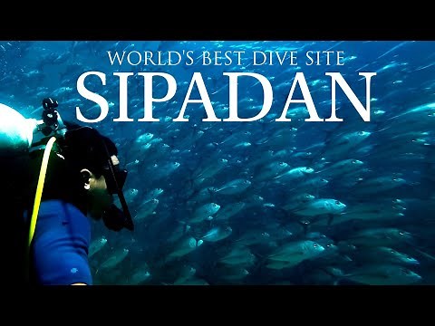 Sipadan, Sabah, Malaysia / Mabul, Sabah, Malaysia / Diving In Sabah, Malaysia